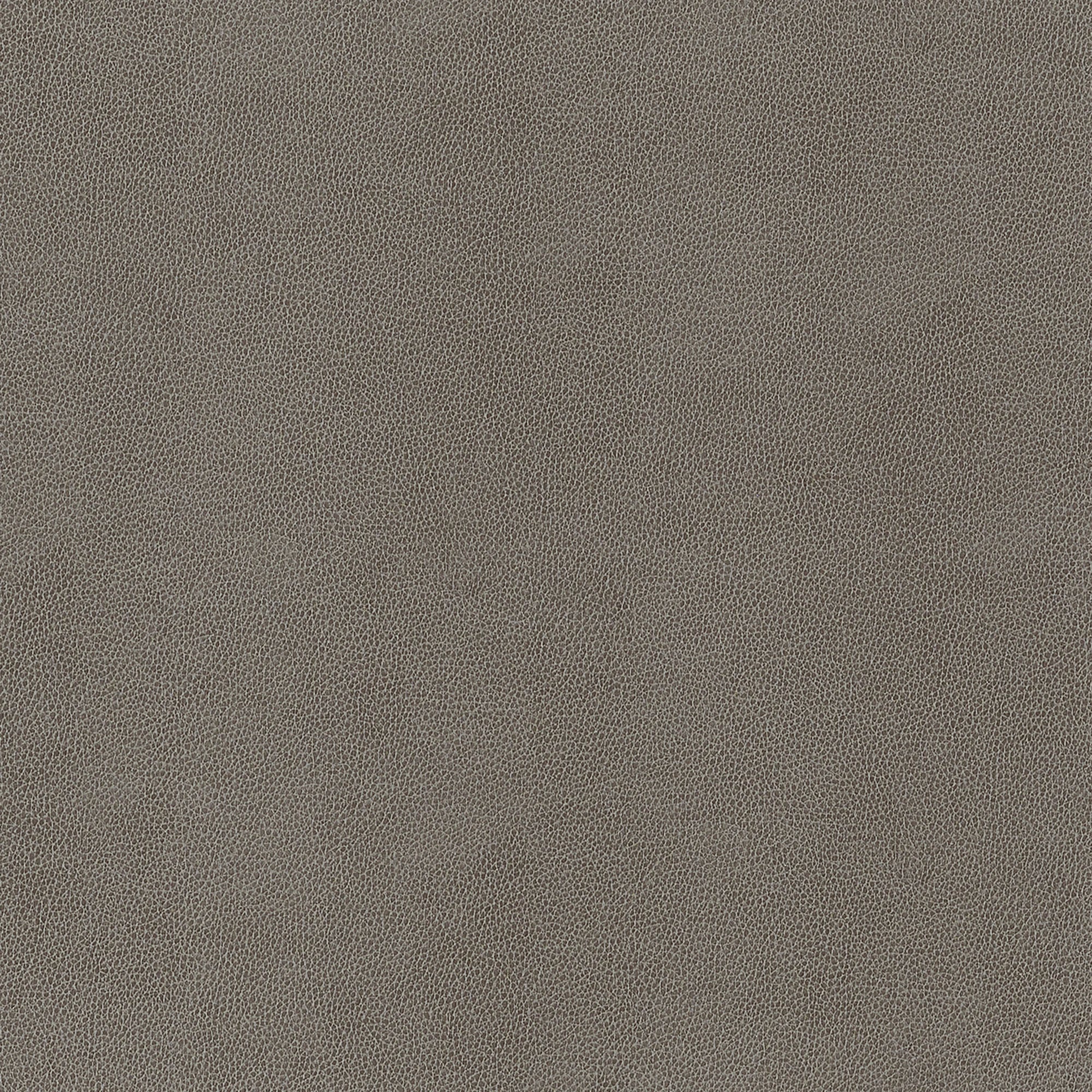 W9056 Gaucho Granite Vegan Leathers Fabric by Thibaut