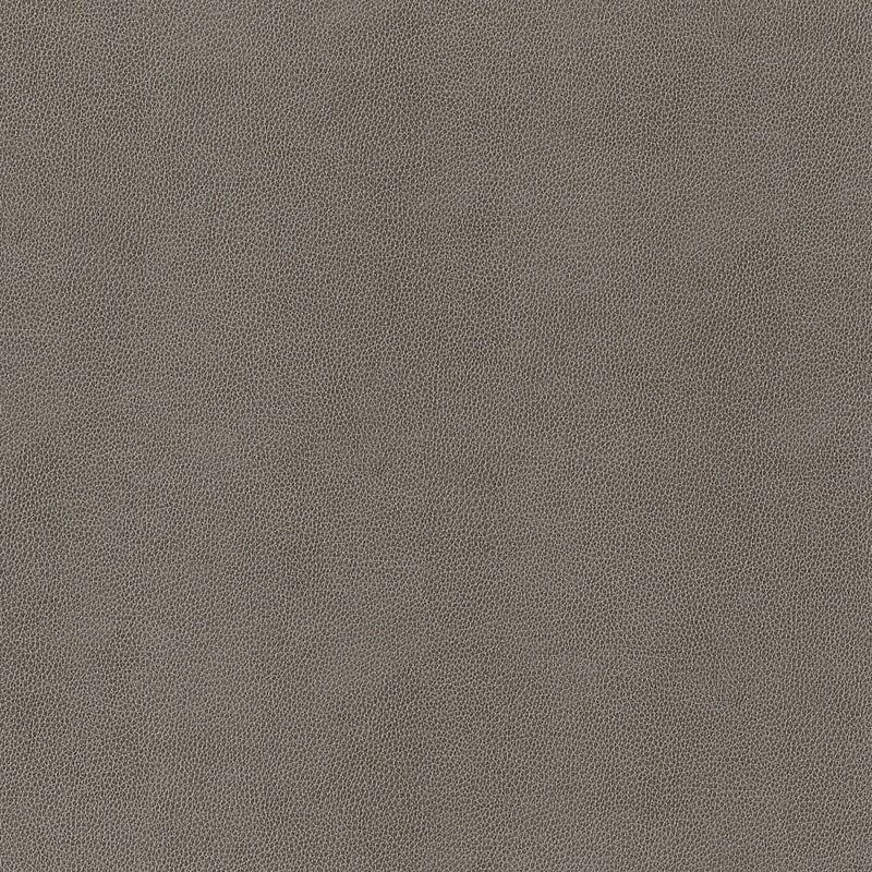 W9056 Gaucho Granite Vegan Leathers Fabric by Thibaut