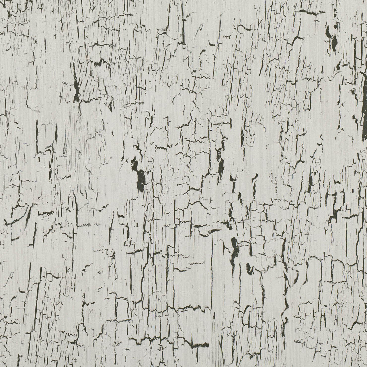 W907/02 Antica Kansai Wallpaper by Black Edition