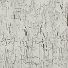 W907/02 Antica Kansai Wallpaper by Black Edition