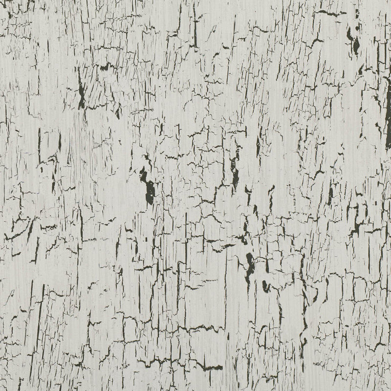 W907/02 Antica Kansai Wallpaper by Black Edition