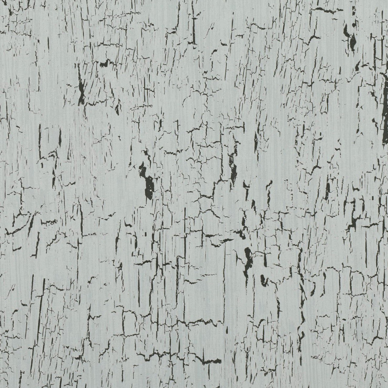 W907/03 Antica Kansai Wallpaper by Black Edition