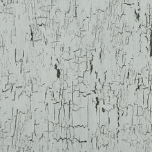 W907/03 Antica Kansai Wallpaper by Black Edition