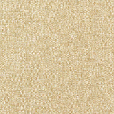 Kaden Straw Woven Essentials Fabric by Thibaut