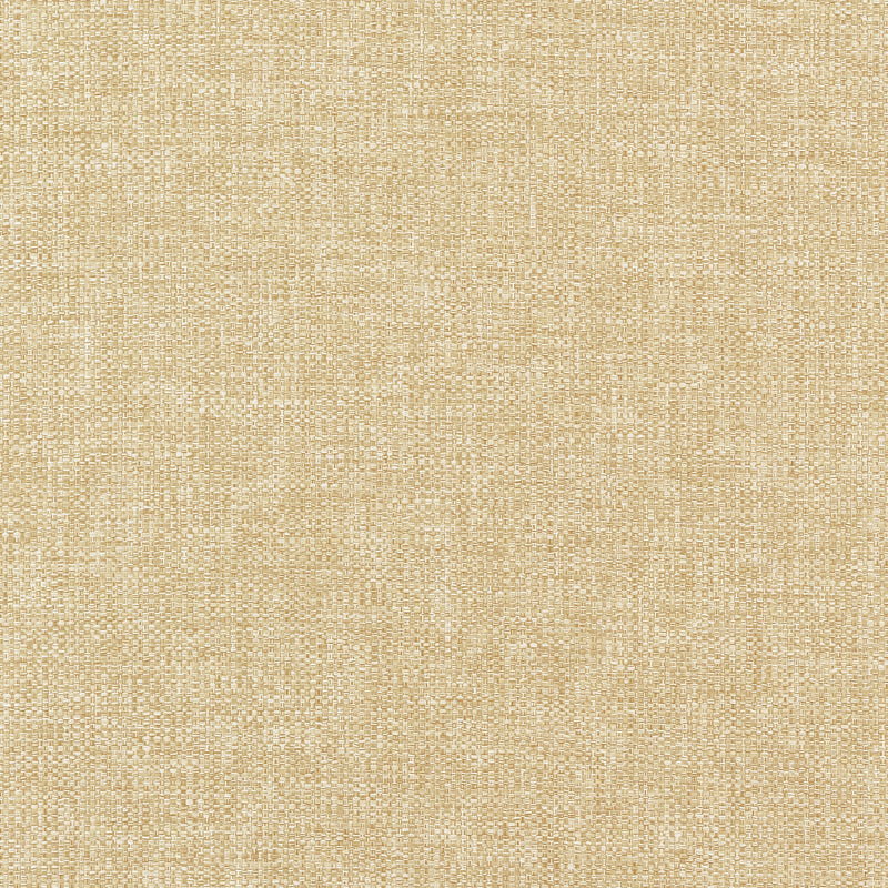 W9117 Kaden Straw Woven Essentials Fabric by Thibaut