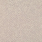 W916/03 Zardozi Herbaria Wallpaper By Black Edition