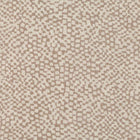 W916/08 Zardozi Herbaria Wallpaper By Black Edition