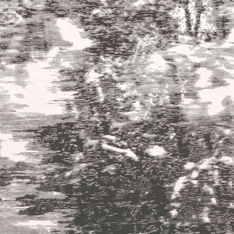 W919/01 Mitoku Mizumi Wallpaper By Black Edition