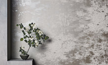 W919/06 Mitoku Mizumi Wallpaper By Black Edition