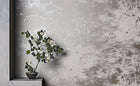 W919/06 Mitoku Mizumi Wallpaper By Black Edition