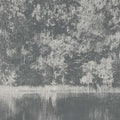 Mizumi Panel Mizumi Wallpaper By Black Edition