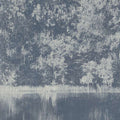 Mizumi Panel Mizumi Wallpaper By Black Edition