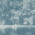 Mizumi Panel Mizumi Wallpaper By Black Edition