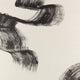 Tsauri Mural Avocet by Black Edition