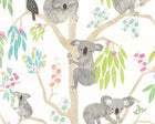 WGU50127W Kooka Koala Candy Apple Wallpaper by Ohpopsi
