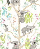 WGU50127W Kooka Koala Candy Apple Wallpaper by Ohpopsi