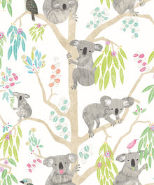 WGU50127W Kooka Koala Candy Apple Wallpaper by Ohpopsi