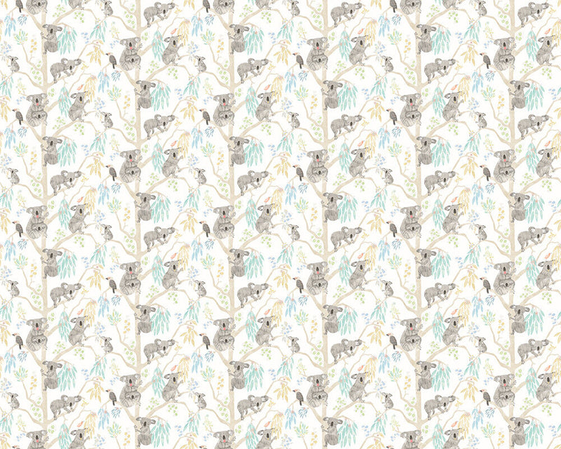 WGU50129W Kooka Koala Sky Wallpaper by Ohpopsi