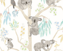 WGU50129W Kooka Koala Sky Wallpaper by Ohpopsi