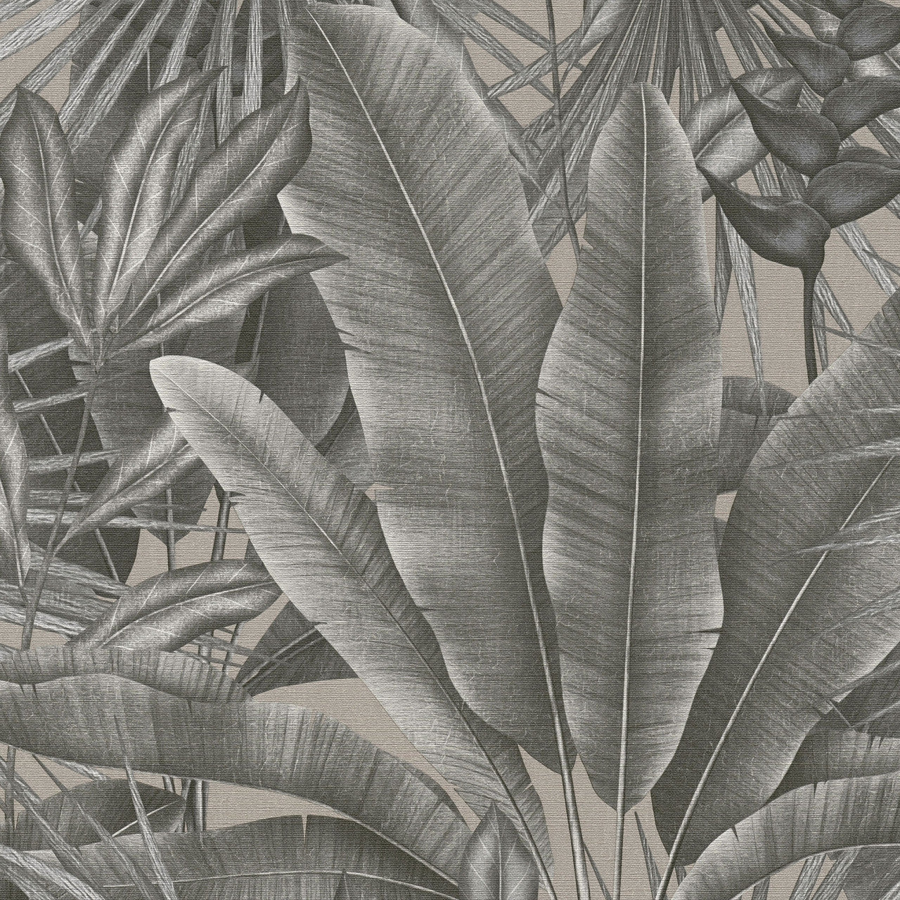 WH30115 Tropical Leaves Welcome Home Silver Grey Wallpaper By Galerie