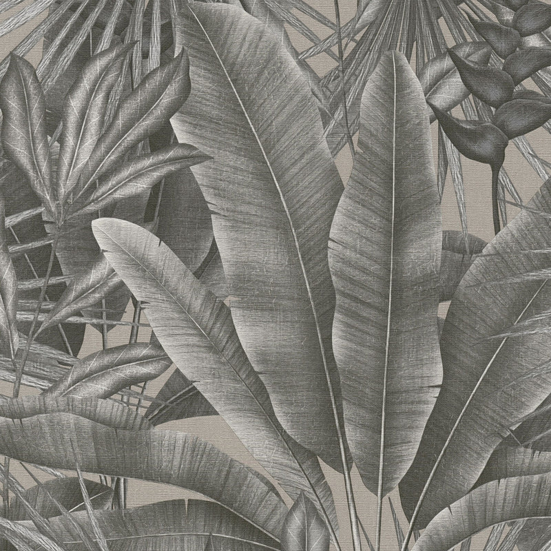WH30115 Tropical Leaves Welcome Home Silver Grey Wallpaper By Galerie