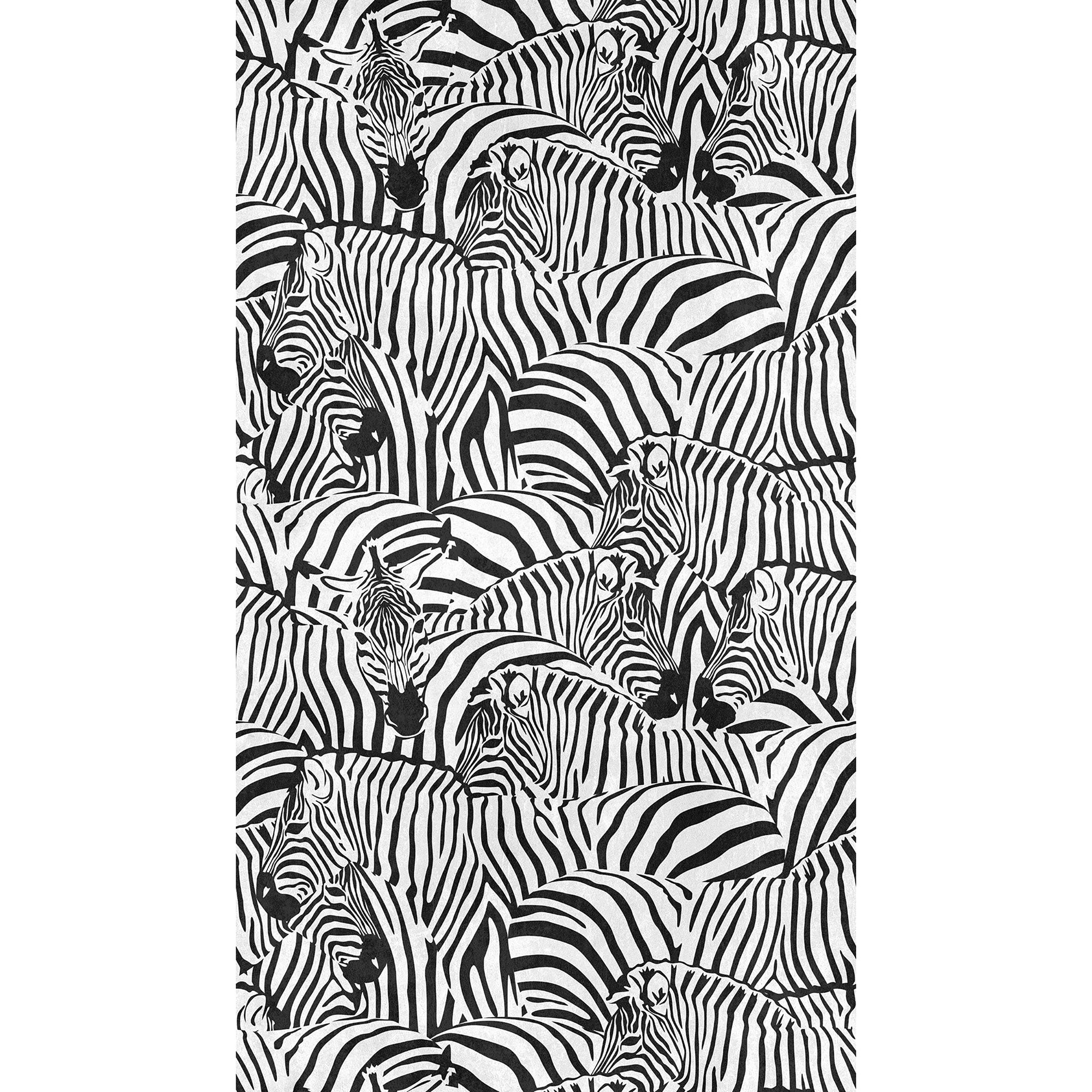 WH45239M Cluster of Zebras White Mural by Galerie