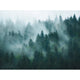 Misty Evergreen Forest Blue Welcome Home Murals Mural by Galerie