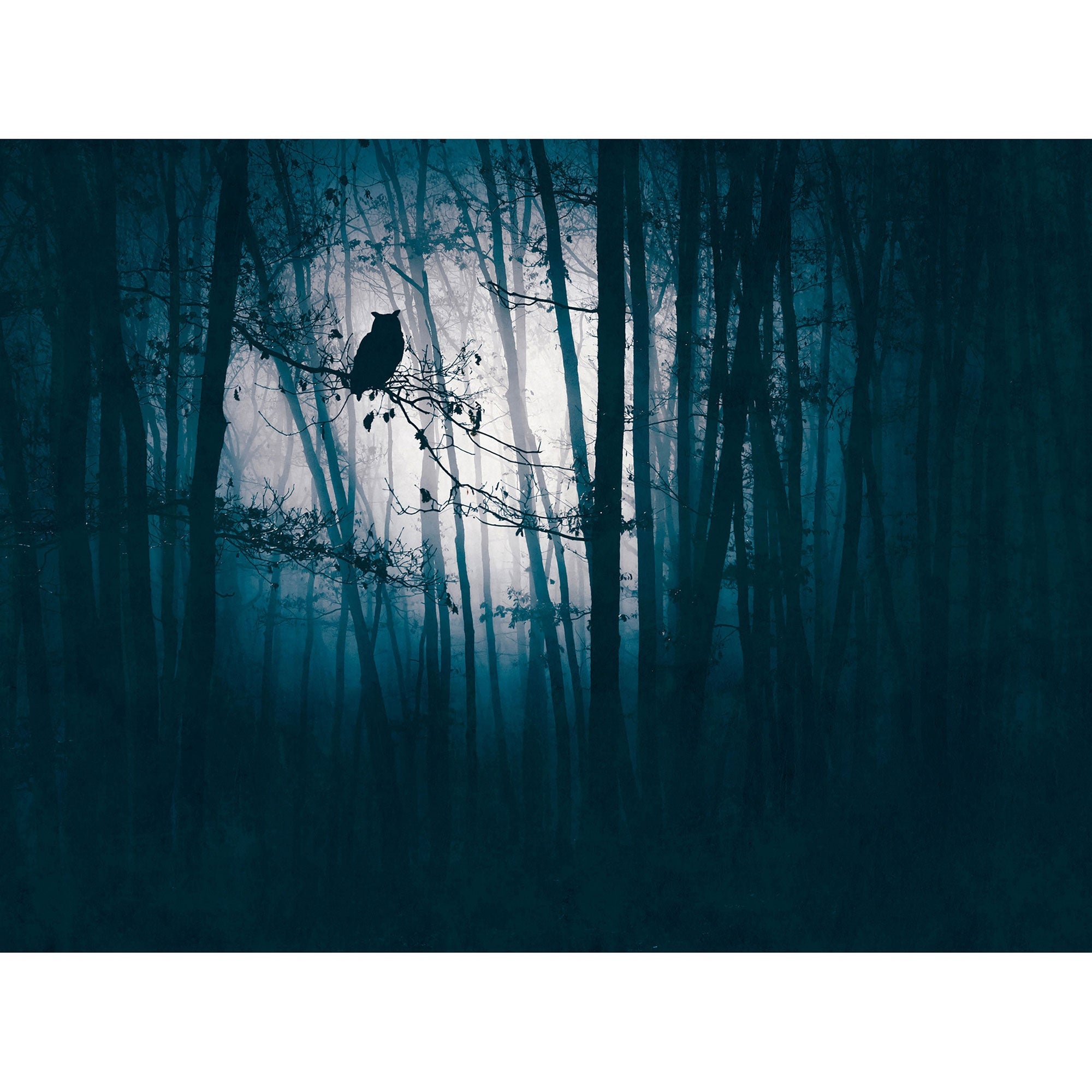 WH45274M Owl in Moonlight Blue Mural by Galerie