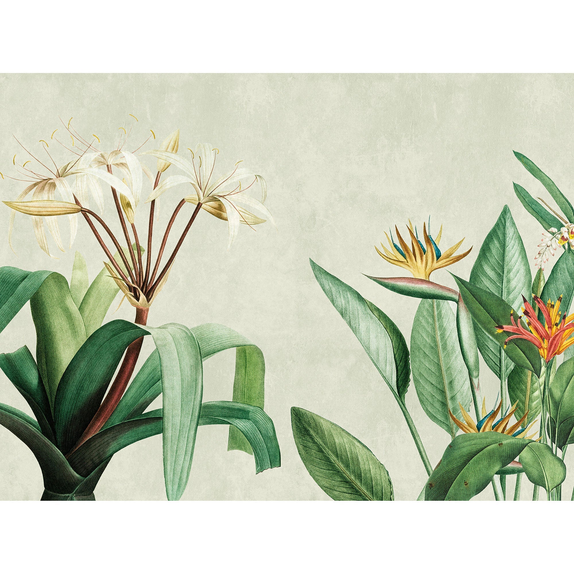 WH45280M Vibrant Tropical Foliage Green Mural by Galerie