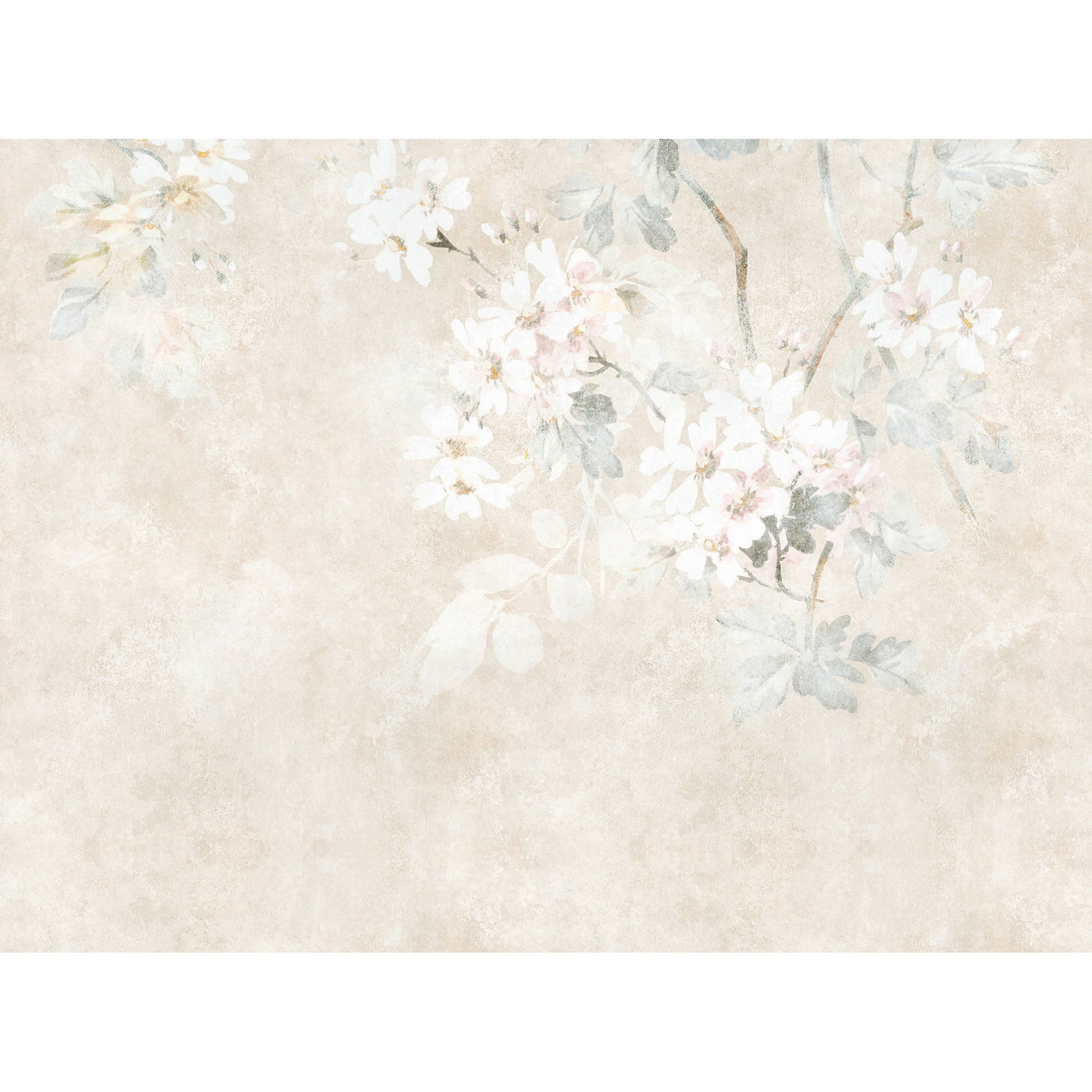 WH45282M Delicate Bloom Haze Beige Mural by Galerie