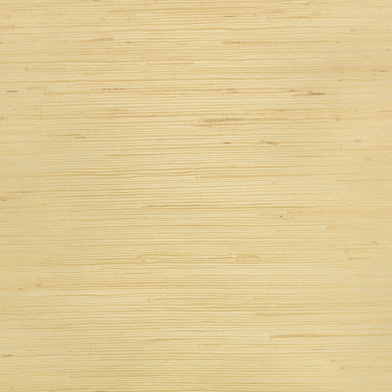 WK812/03 Glade Vol 1 Desert Wallpaper by Kirkby Design