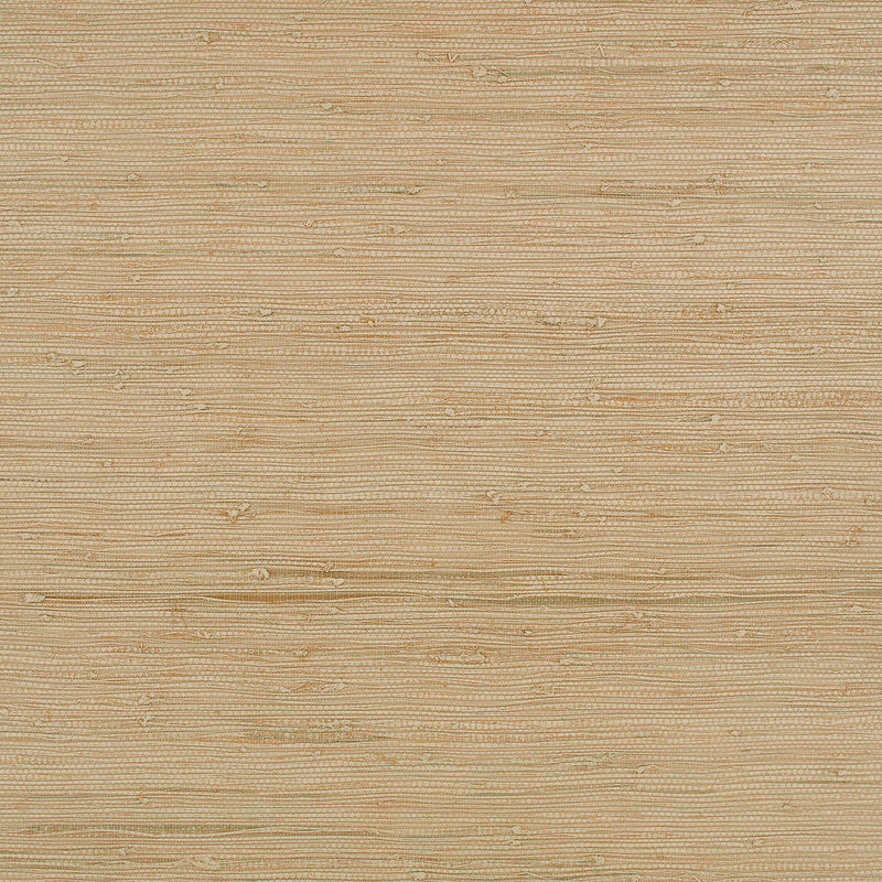 WK822/03 Solid x Eley Kishimoto Edition II Pink Apricot Wallpaper by Kirkby Design