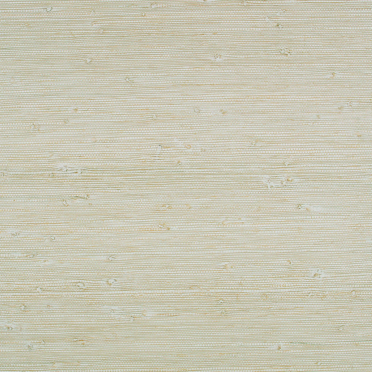 WK822/05 Solid x Eley Kishimoto Edition II Pistachio Wallpaper by Kirkby Design