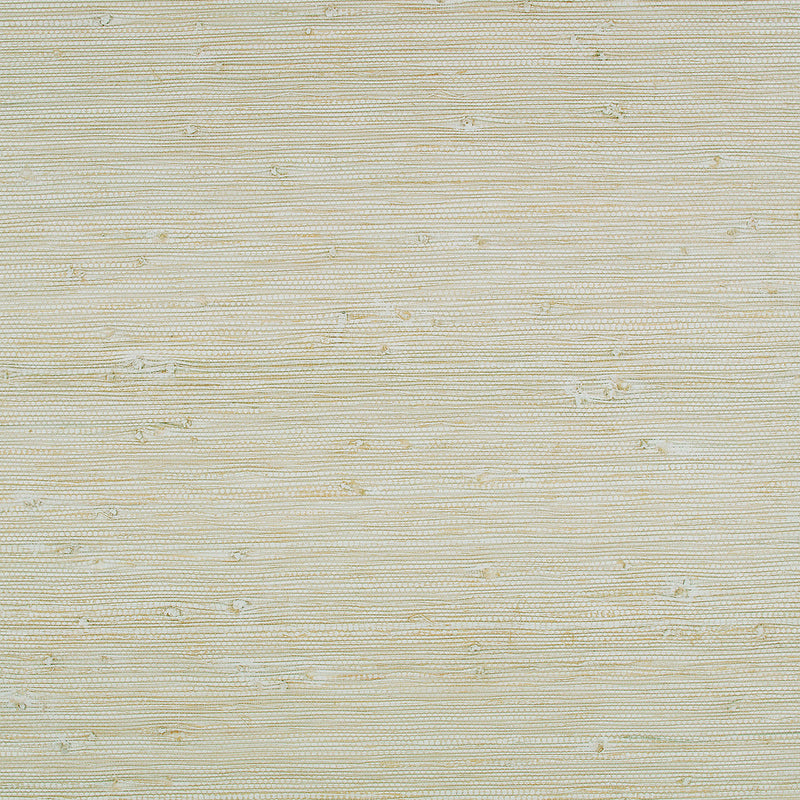 WK822/05 Solid x Eley Kishimoto Edition II Pistachio Wallpaper by Kirkby Design