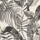 WLD53102W Palmera Sable & Stone Sable & Stone Wallpaper by Ohpopsi