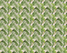 WLD53103W Palmera Verdant Verdant Wallpaper by Ohpopsi
