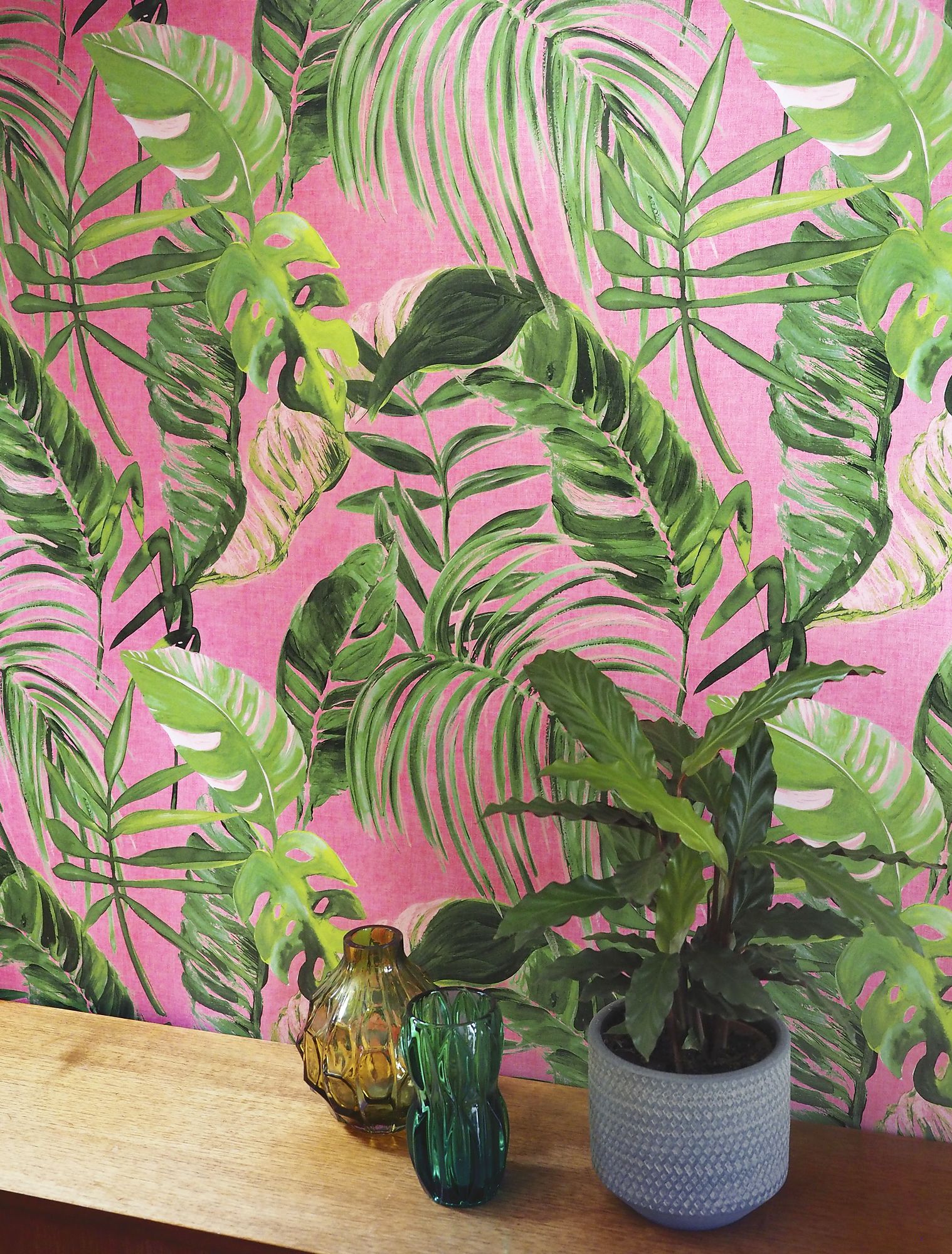 WLD53104W Palmera Fuchsia Fuchsia Wallpaper by Ohpopsi