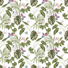 WLD53114W Hummingbird Wilderness White Wilderness White Wallpaper by Ohpopsi