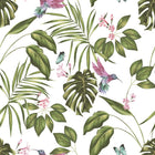 WLD53114W Hummingbird Wilderness White Wilderness White Wallpaper by Ohpopsi