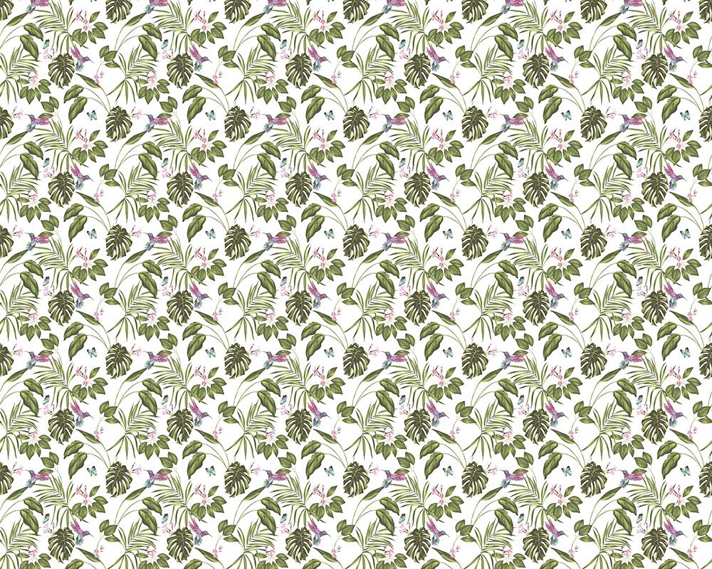 WLD53114W Hummingbird Wilderness White Wilderness White Wallpaper by Ohpopsi