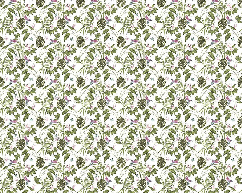 WLD53114W Hummingbird Wilderness White Wilderness White Wallpaper by Ohpopsi