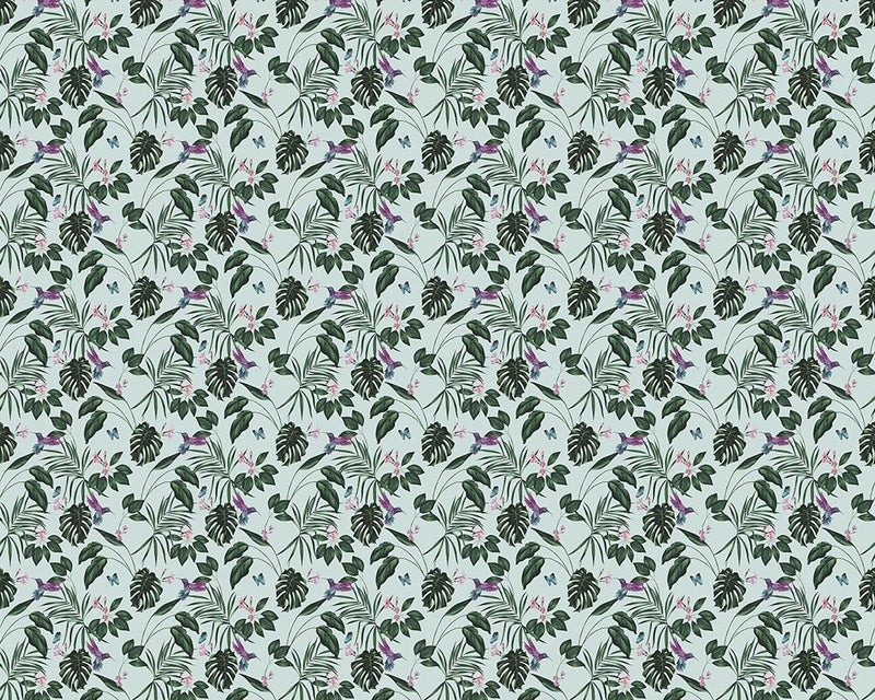 WLD53115W Hummingbird Duck Egg Duck Egg Wallpaper by Ohpopsi