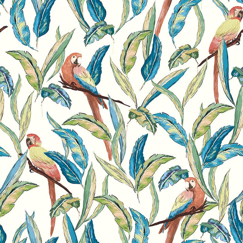 WLD53116W Tropical Parrot Wilderness White Wilderness White Wallpaper by Ohpopsi