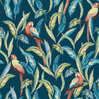 WLD53117W Tropical Parrot Indigo Multi Indigo Multi Wallpaper by Ohpopsi