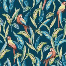 WLD53117W Tropical Parrot Indigo Multi Indigo Multi Wallpaper by Ohpopsi