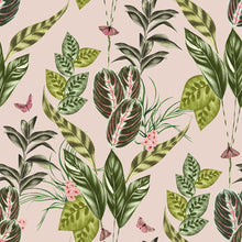 WLD53121W Spirit Powder Powder Wallpaper by Ohpopsi