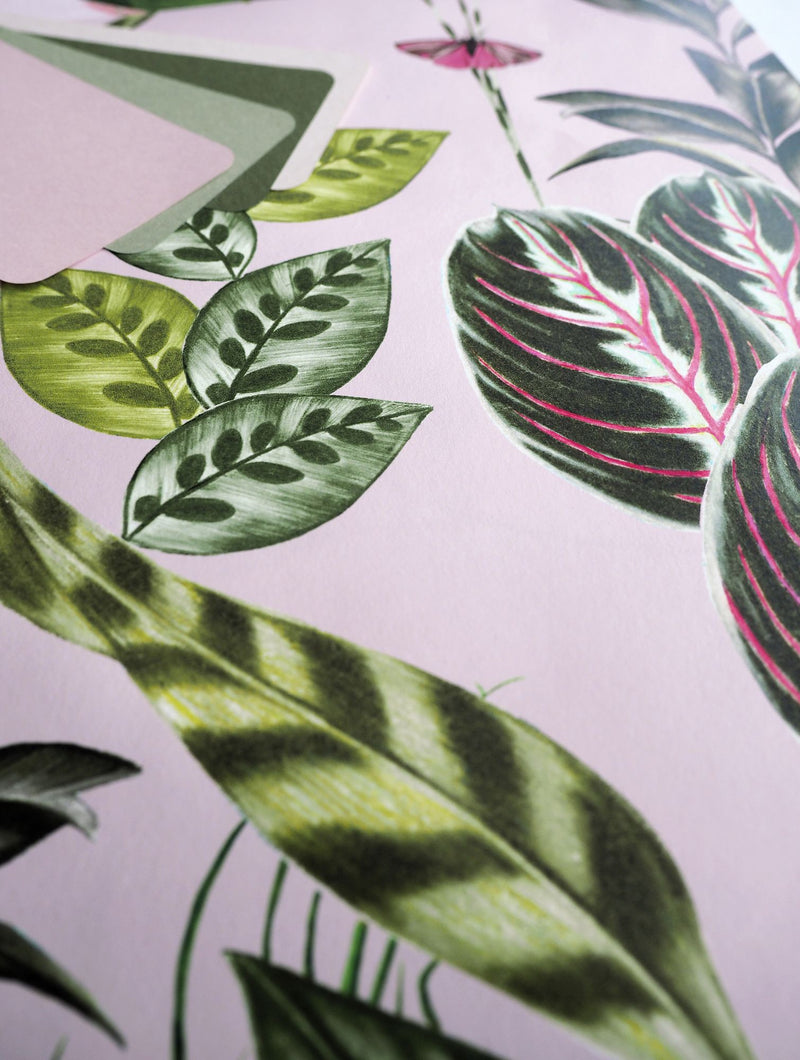 WLD53121W Spirit Powder Powder Wallpaper by Ohpopsi