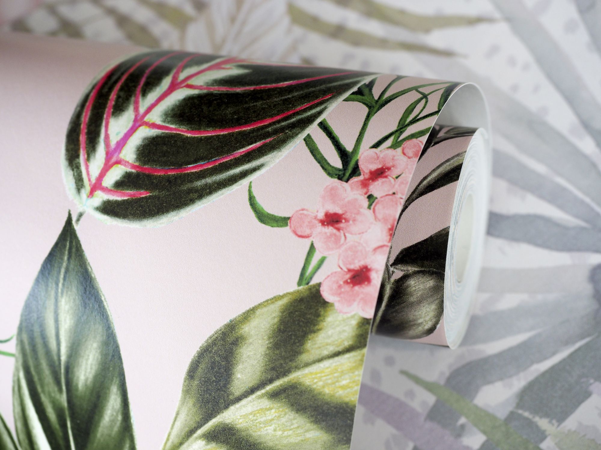 WLD53121W Spirit Powder Powder Wallpaper by Ohpopsi