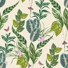 WLD53123W Spirit Zest Zest Wallpaper by Ohpopsi