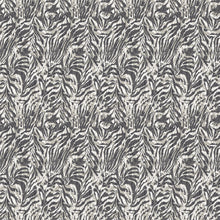 WLD53135W Zebra Sable Sable Wallpaper by Ohpopsi